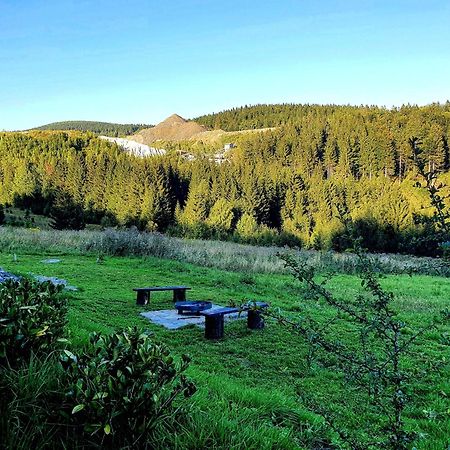Domek Maly Czar Czarnow  Esterno foto