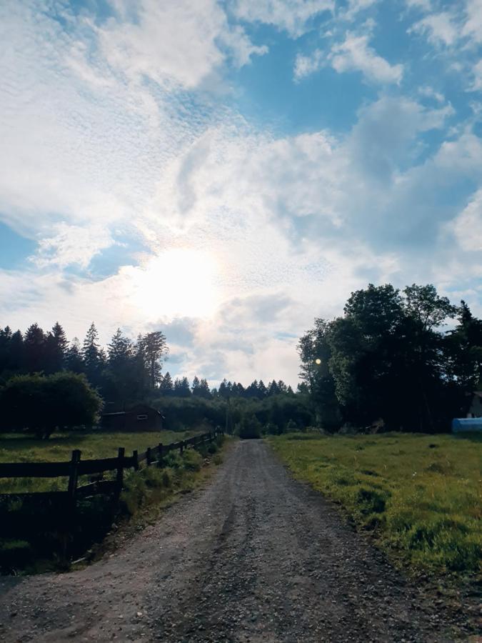 Domek Maly Czar Czarnow  Esterno foto