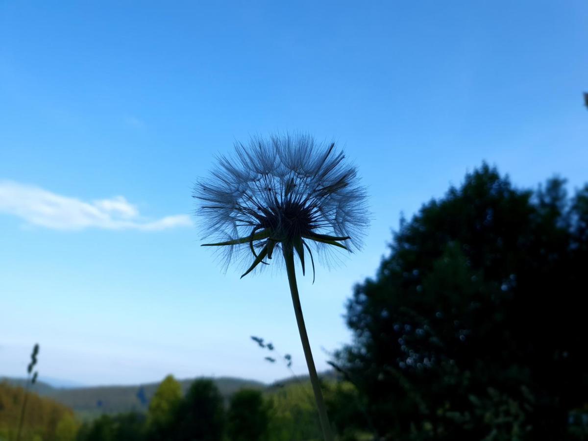 Domek Maly Czar Czarnow  Esterno foto