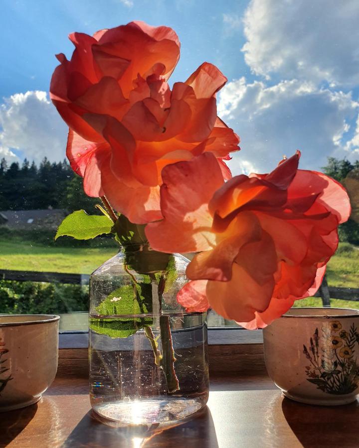 Domek Maly Czar Czarnow  Esterno foto