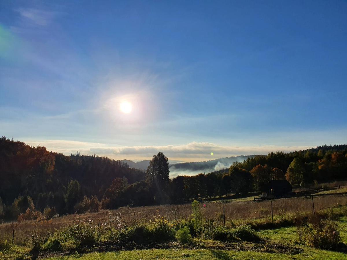 Domek Maly Czar Czarnow  Esterno foto