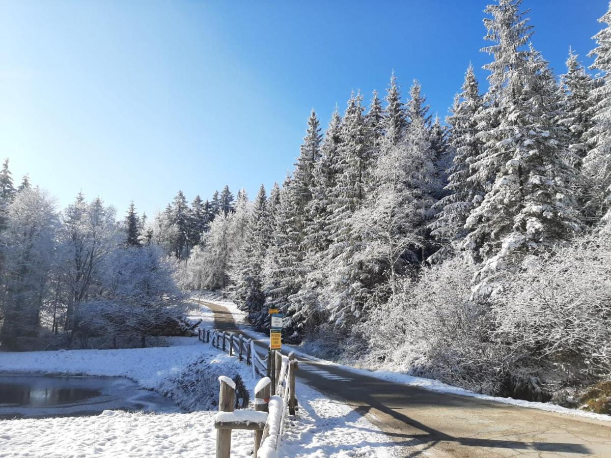 Domek Maly Czar Czarnow  Esterno foto